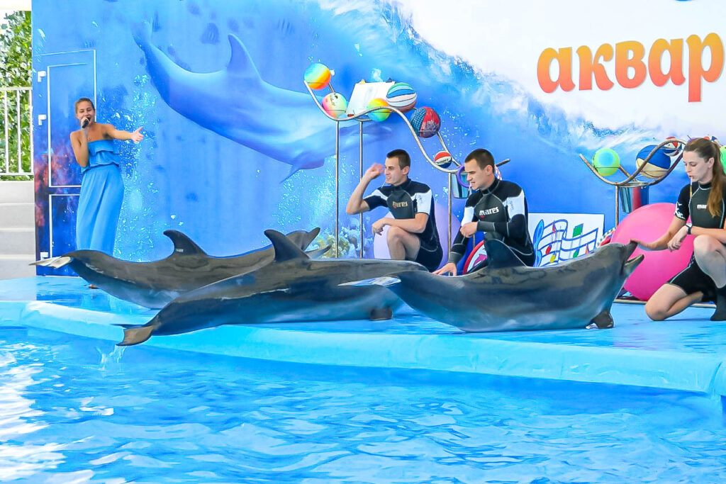 Дельфинарий «Акварель» в Скадовске